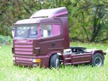 Der Scania im Gras